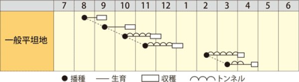 画像2: ホウレンソウ　味サラダほうれんそう（1ℓ） (2)