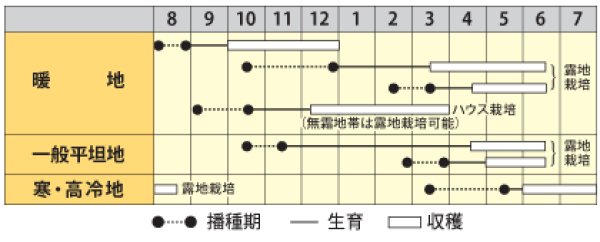 画像2: 実エンドウ　グリーンパワー　（小袋　25ml） (2)