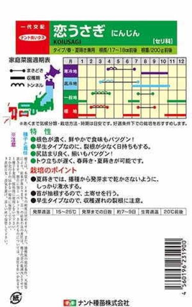 画像3: 恋うさぎ　（コート　1万粒） (3)