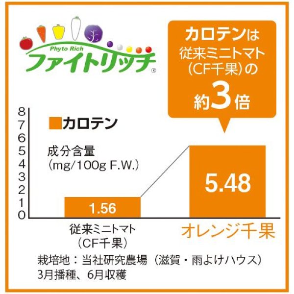 画像3: ミニトマト・オレンジ千果（1000粒） (3)