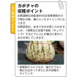 画像4:  西洋カボチャ・夢味（100粒） (4)