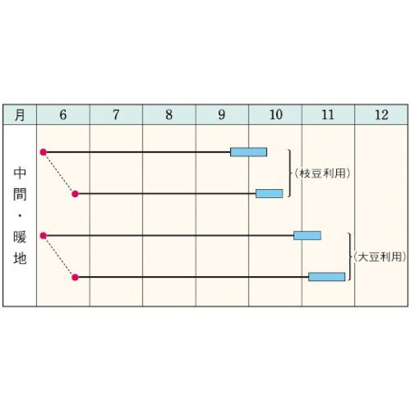 画像2: エダマメ・丹波黒大粒大豆（ぶどう豆）（GF　35ml） (2)