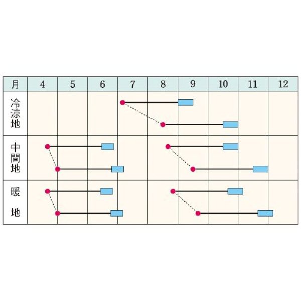 画像2: ダイコン・辛之助（RF　5ml） (2)