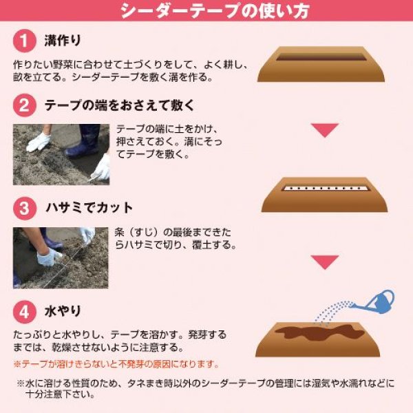 画像5: ゴボウ・サラダむすめ（DF　11ml） (5)