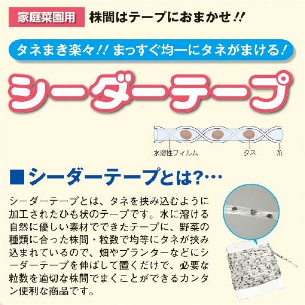 画像4: ゴボウ・サラダむすめ（DF　11ml） (4)