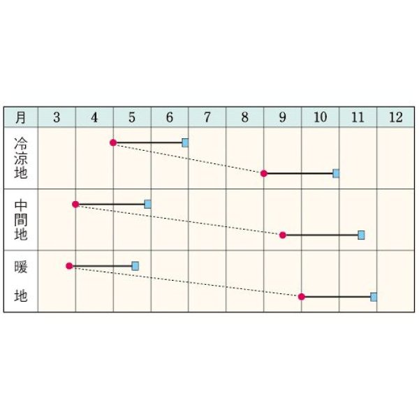 画像2:  小カブ・CRもちばな（RF　3.5ml） (2)